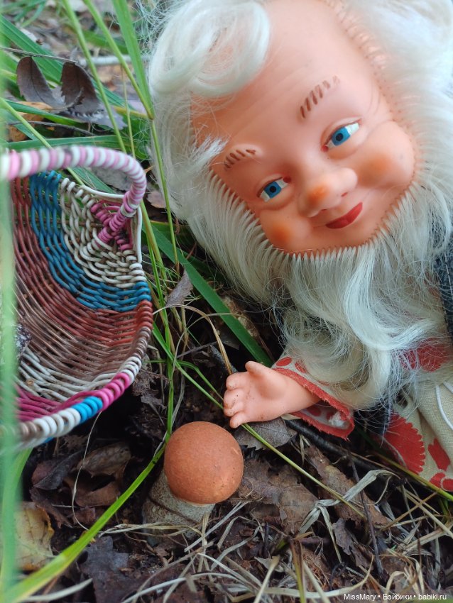 Как Петрович грибы собирал (фото 9)