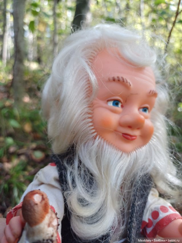 Как Петрович грибы собирал (фото 5)