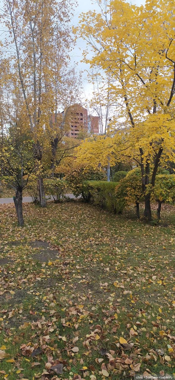 Минако — Куклы Takara Tomy (Такара): Licca (Ликка) (фото 7)