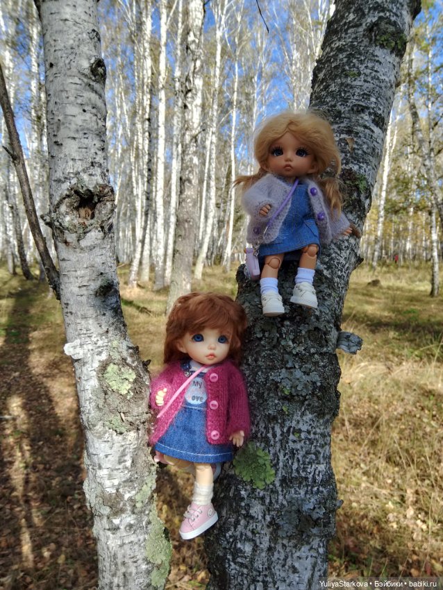 Девчонки в берёзовой роще (фото 7)