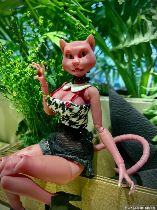 Кошечки🩶🩷 — Домашние фото авторских кукол: личные коллекции
