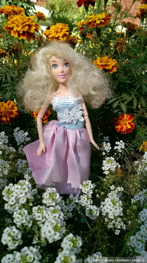 Моя Золушка и осенния клумба у дома (фото 5)