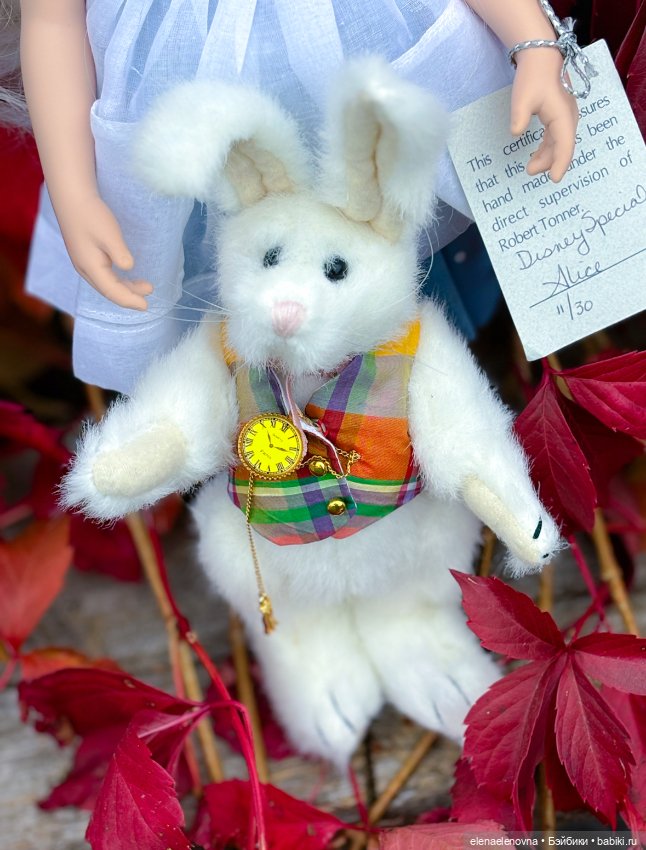 Прогулки с ранним Тоннером