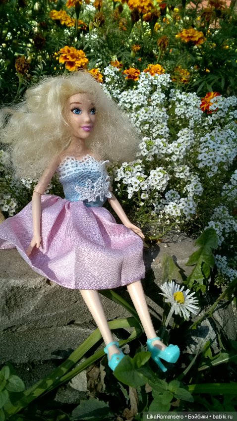 Моя Золушка и осенния клумба у дома (фото 4)