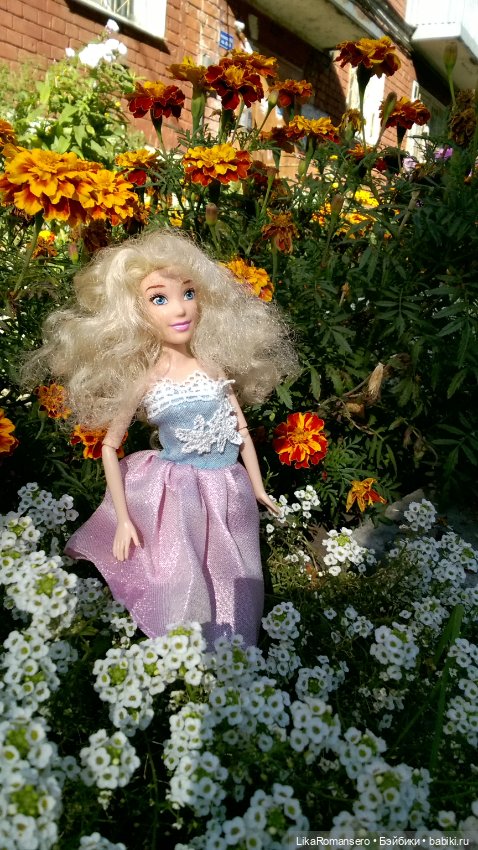 Моя Золушка и осенния клумба у дома (фото 9)