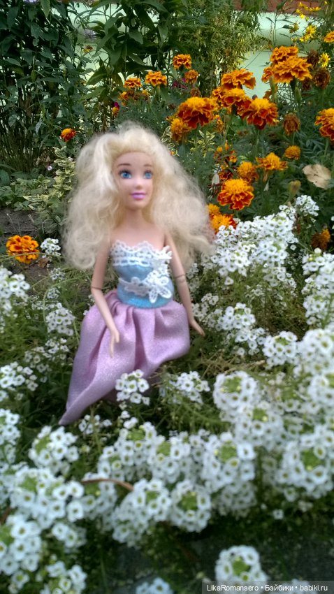 Моя Золушка и осенния клумба у дома (фото 2)