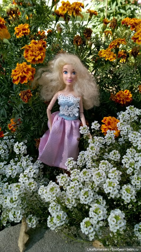 Моя Золушка и осенния клумба у дома (фото 3)