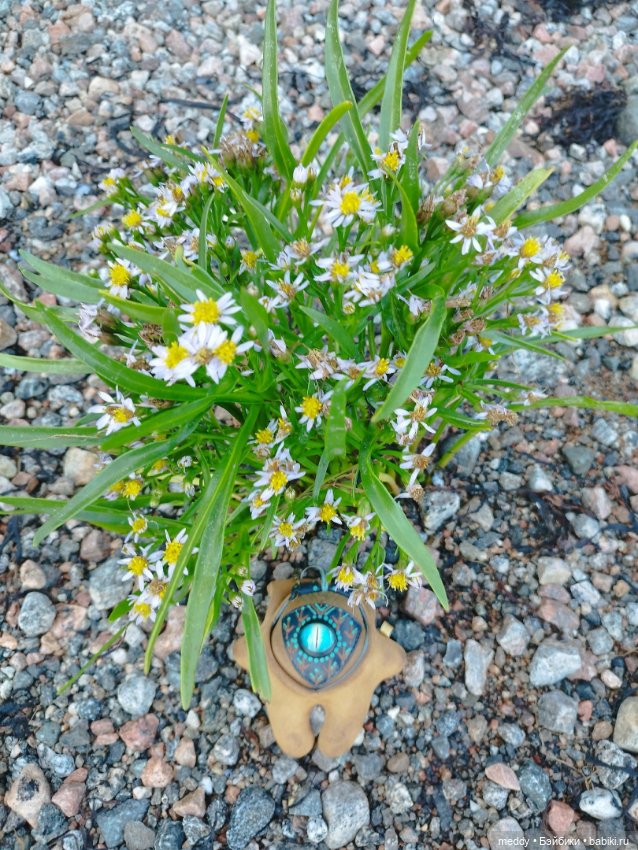 Хроники Исабель.Времена года