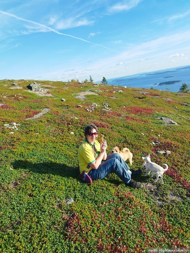 Хроники Исабель.Времена года