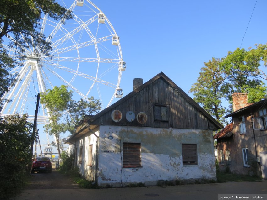 Арина "Огонёк" на Балтике (фото 4)