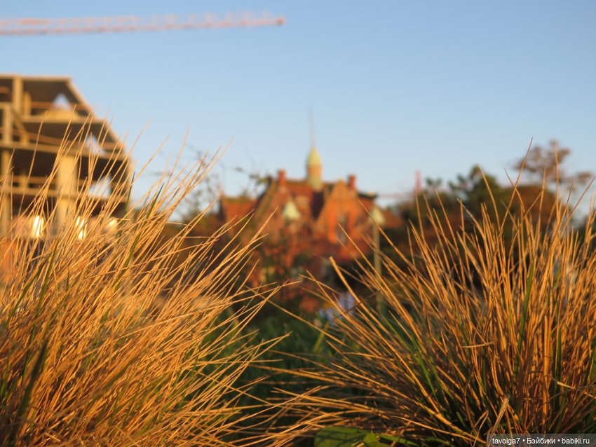 Арина "Огонёк" на Балтике (фото 6)