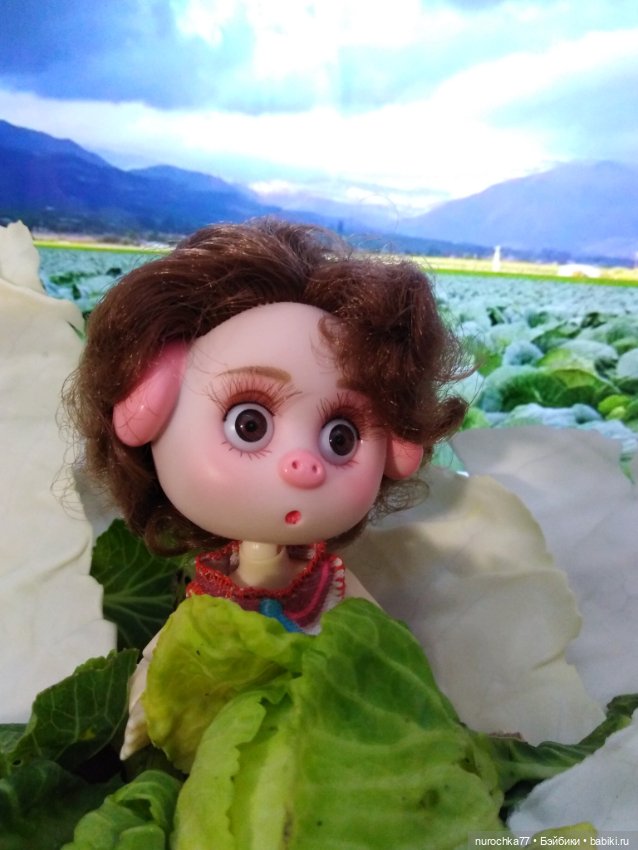Про Нафочку. В капусте — Гибриды шарнирных кукол (не БЖД): подбор тела (фото 4)