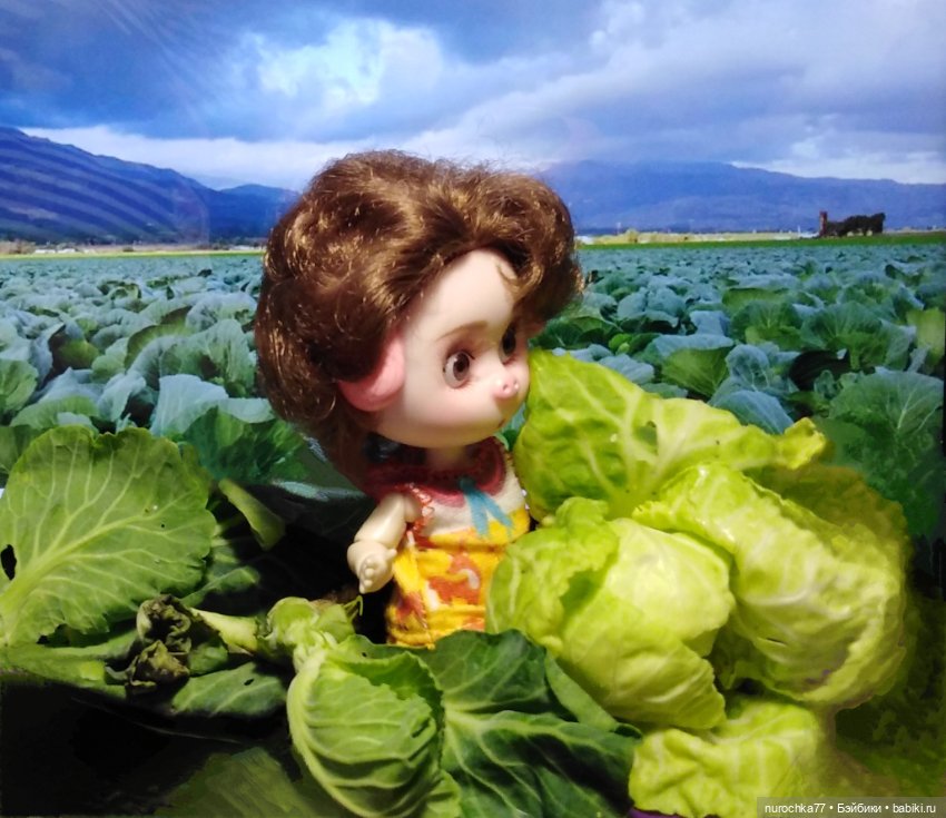 Про Нафочку. В капусте — Гибриды шарнирных кукол (не БЖД): подбор тела (фото 6)