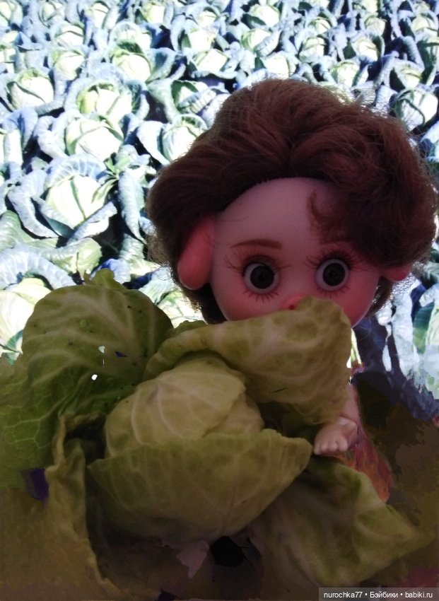 Про Нафочку. В капусте — Гибриды шарнирных кукол (не БЖД): подбор тела (фото 8)