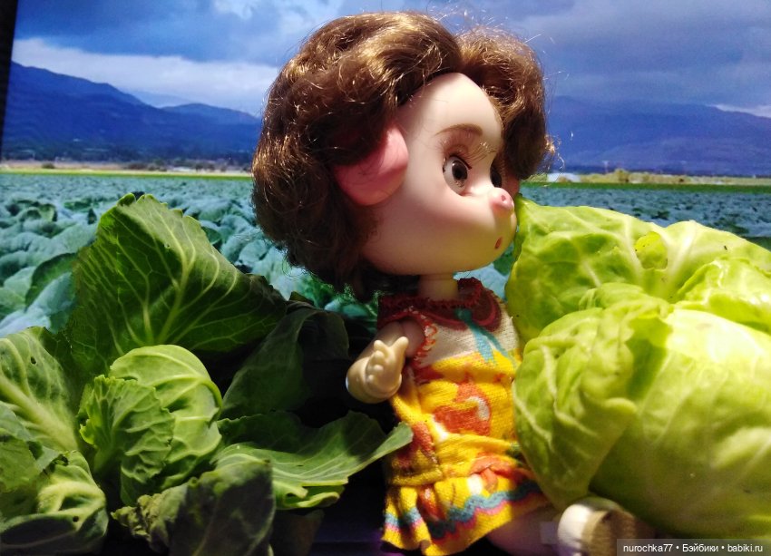 Про Нафочку. В капусте — Гибриды шарнирных кукол (не БЖД): подбор тела