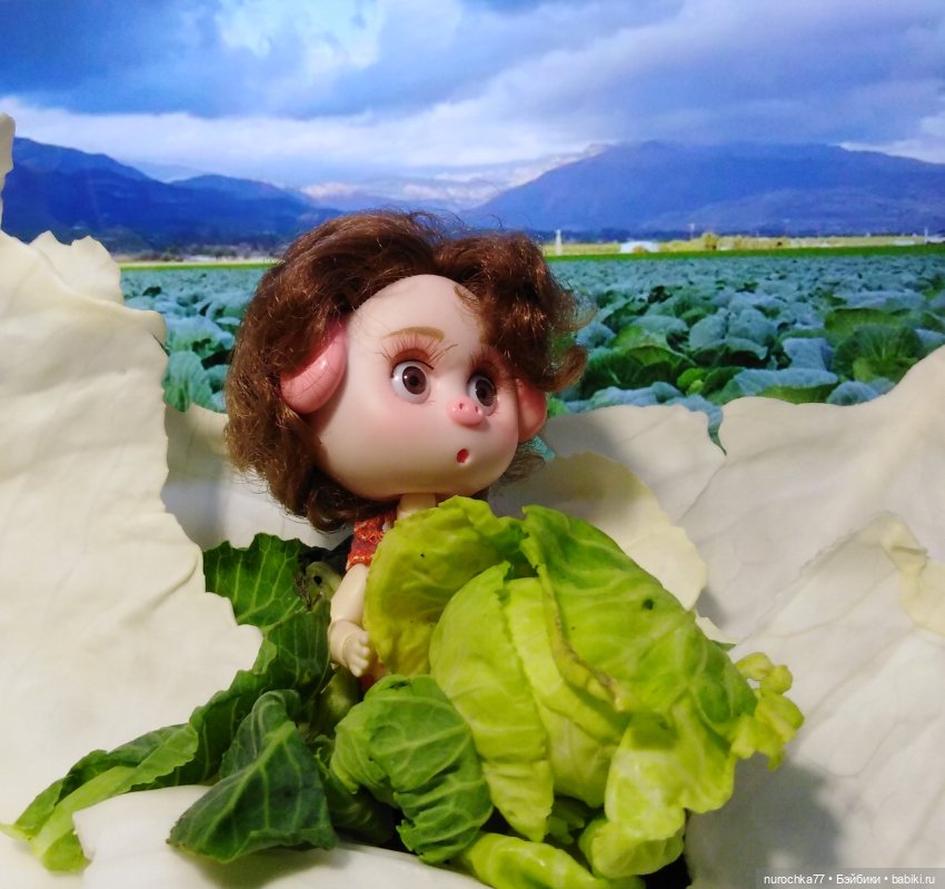 Про Нафочку. В капусте — Гибриды шарнирных кукол (не БЖД): подбор тела (фото 7)