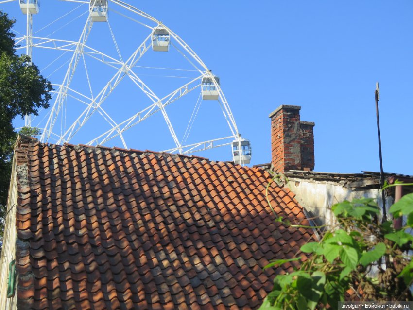 Арина "Огонёк" на Балтике (фото 2)