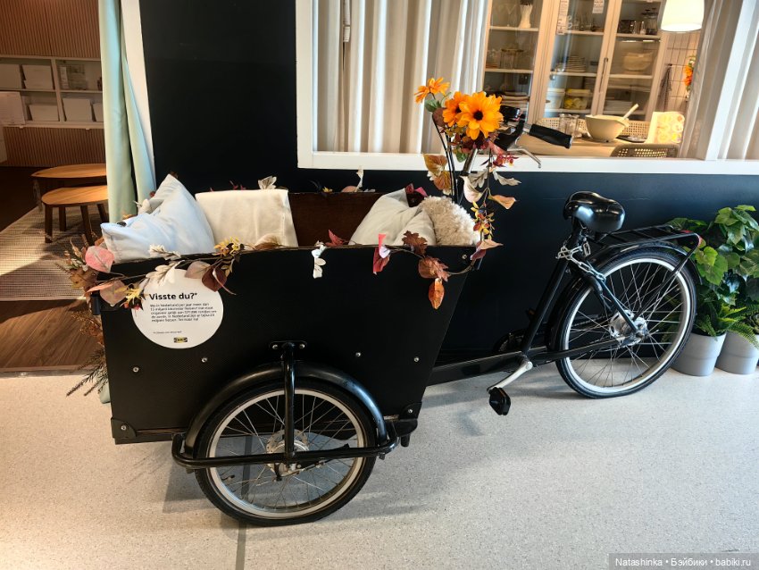 Музыкальная, История 154 — Туризм и путешествия: фотоотчеты из поездок (фото 7)