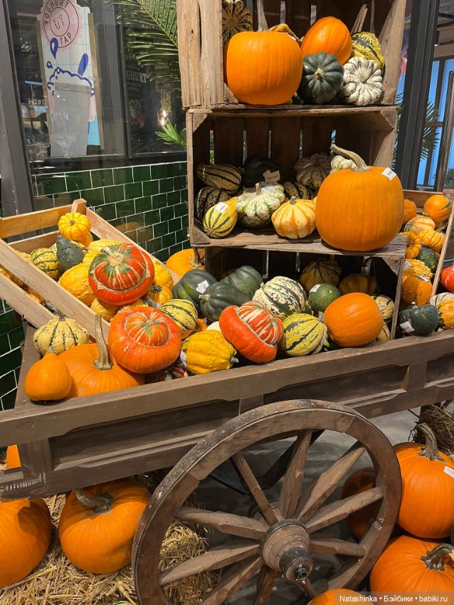 Музыкальная, История 154 — Туризм и путешествия: фотоотчеты из поездок