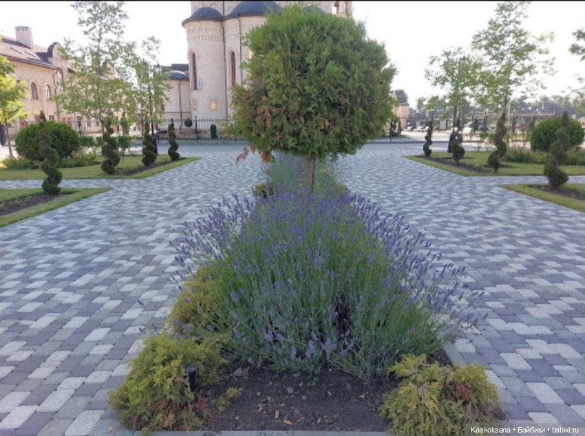 Солнце, ветер, город. Храмовый сквер