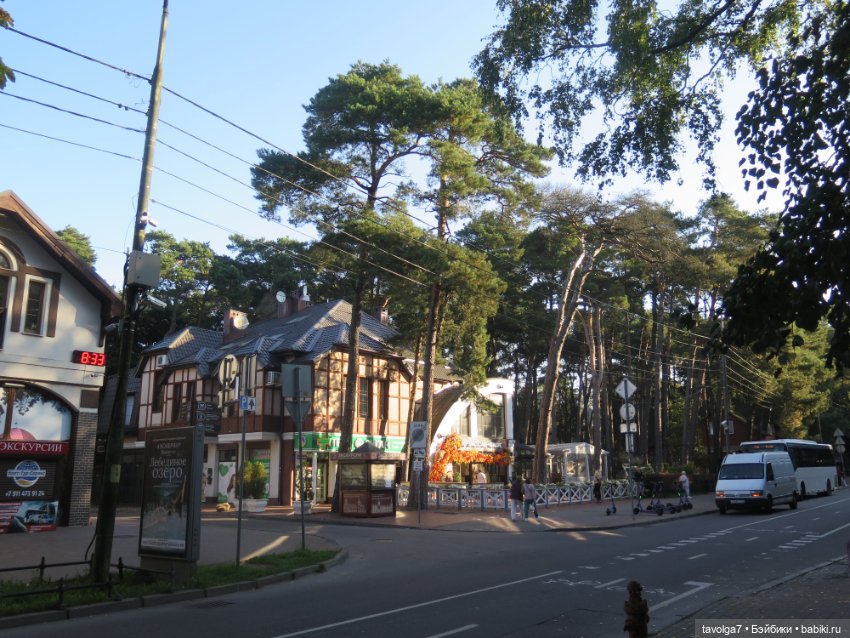 Арина "Огонёк" в Светлогорске (фото 6)