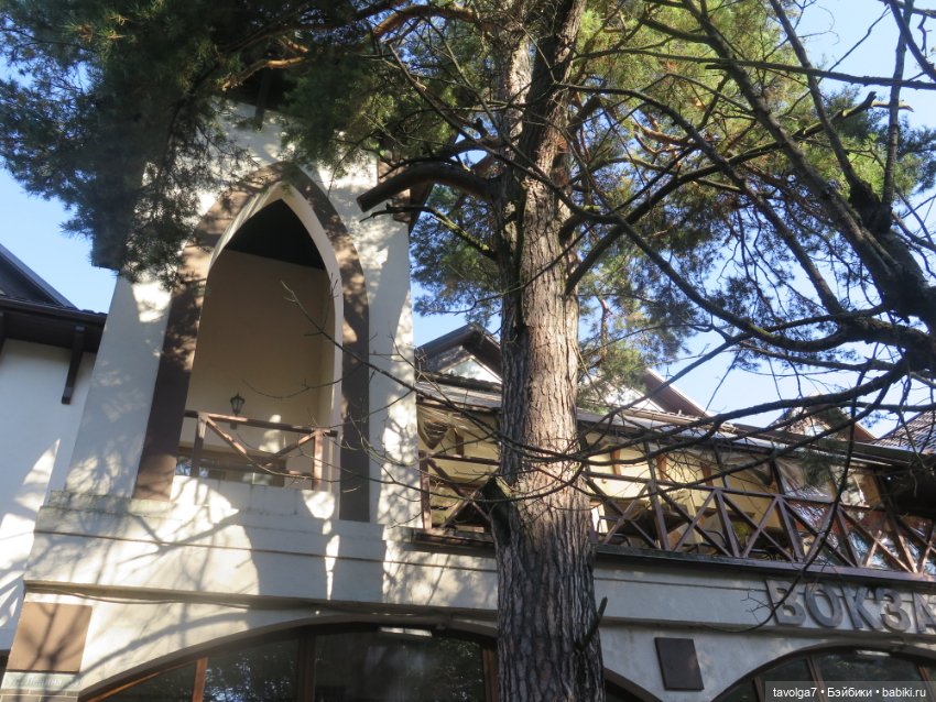 Арина "Огонёк" в Светлогорске