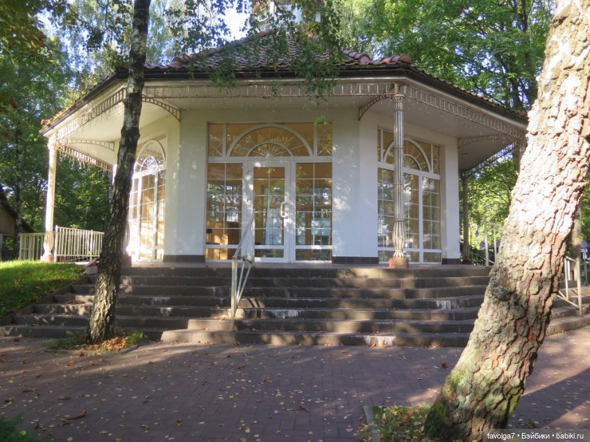 Арина "Огонёк" в Светлогорске (фото 10)