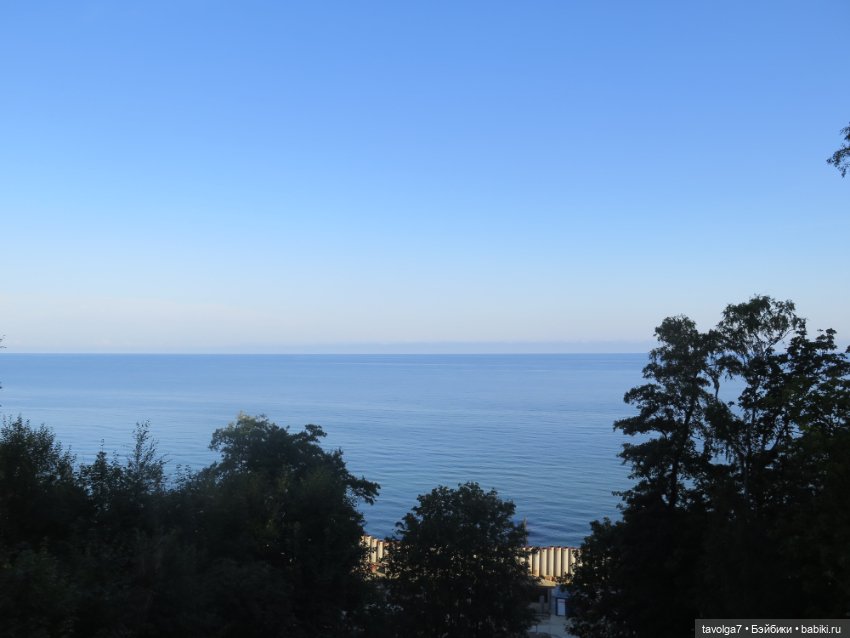 Арина "Огонёк" в Светлогорске (фото 5)