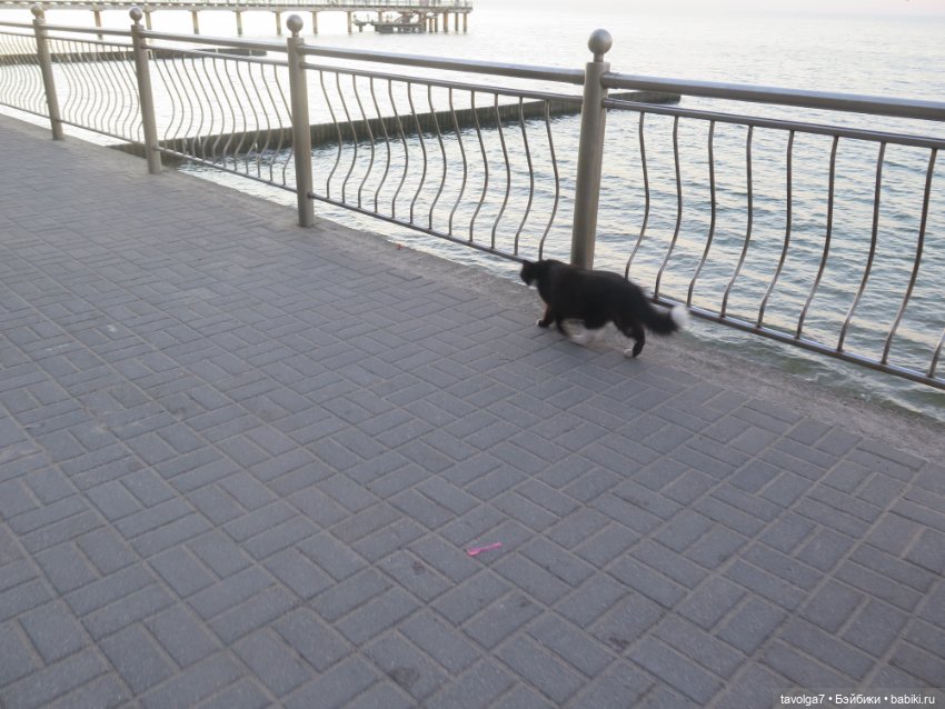 "Каждый октябрь - тот же октябрь" (фото 3)