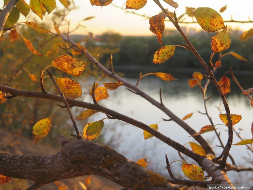 Красивая осенняя прогулка для Bratz и Ле Фрог Regal Academy