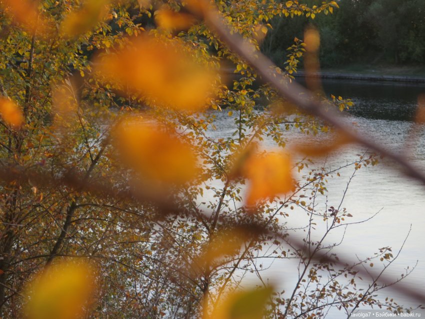 Красивая осенняя прогулка для Bratz и Ле Фрог Regal Academy