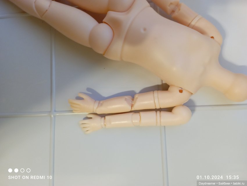 С приездом, или гибридизатор не дремлет (фото 4)