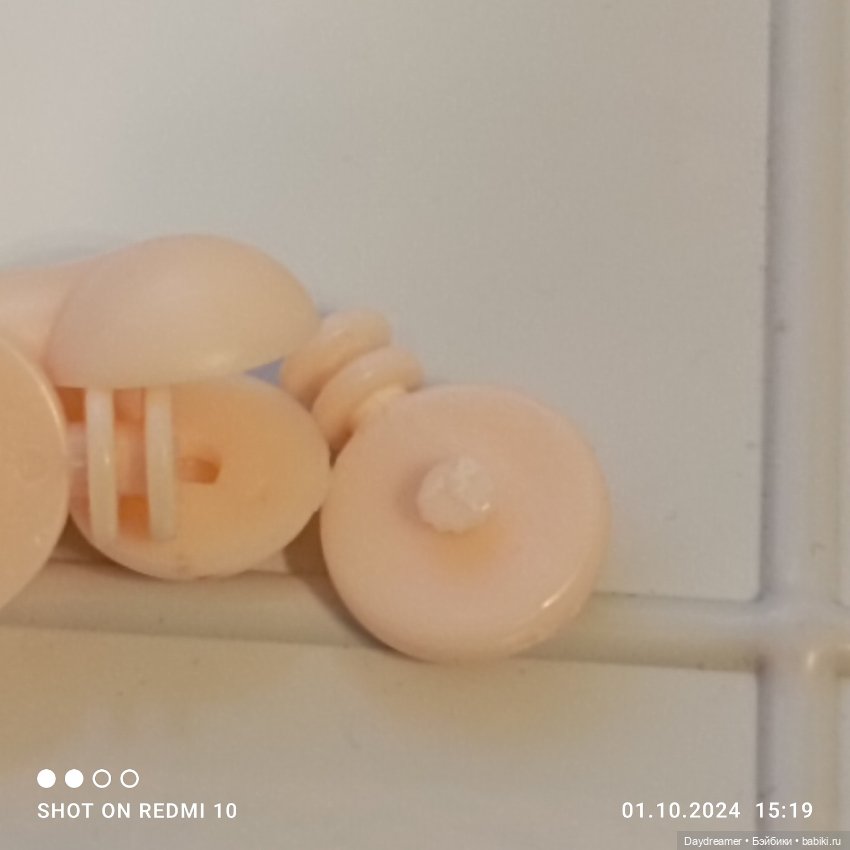 С приездом, или гибридизатор не дремлет (фото 7)