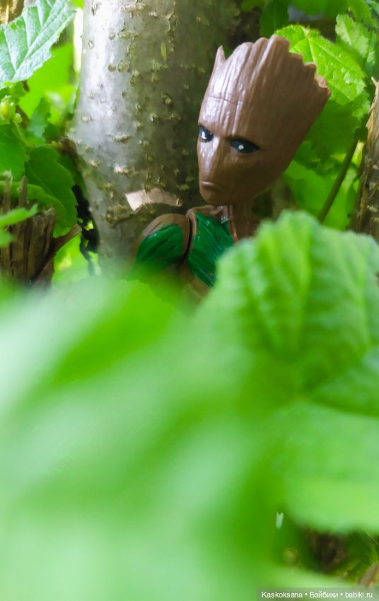 Грут нашего сада — Разные шарнирные куклы (не БЖД): редкие