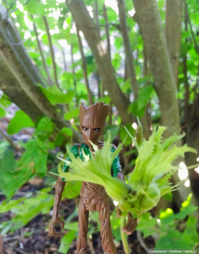 Грут нашего сада — Разные шарнирные куклы (не БЖД): редкие (фото 4)