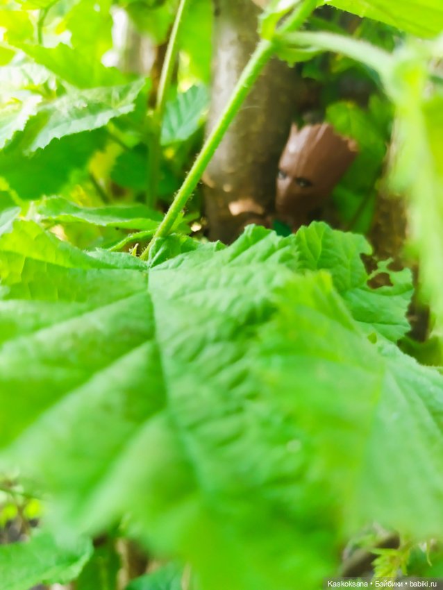 Грут нашего сада — Разные шарнирные куклы (не БЖД): редкие