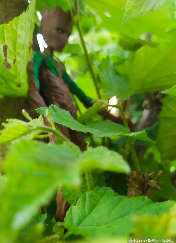 Грут нашего сада — Разные шарнирные куклы (не БЖД): редкие