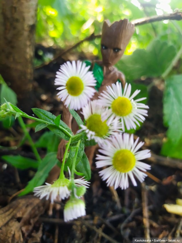 Грут нашего сада — Разные шарнирные куклы (не БЖД): редкие (фото 8)