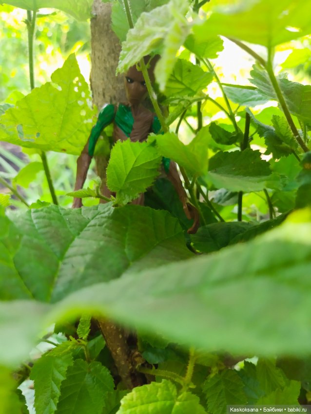 Грут нашего сада — Разные шарнирные куклы (не БЖД): редкие