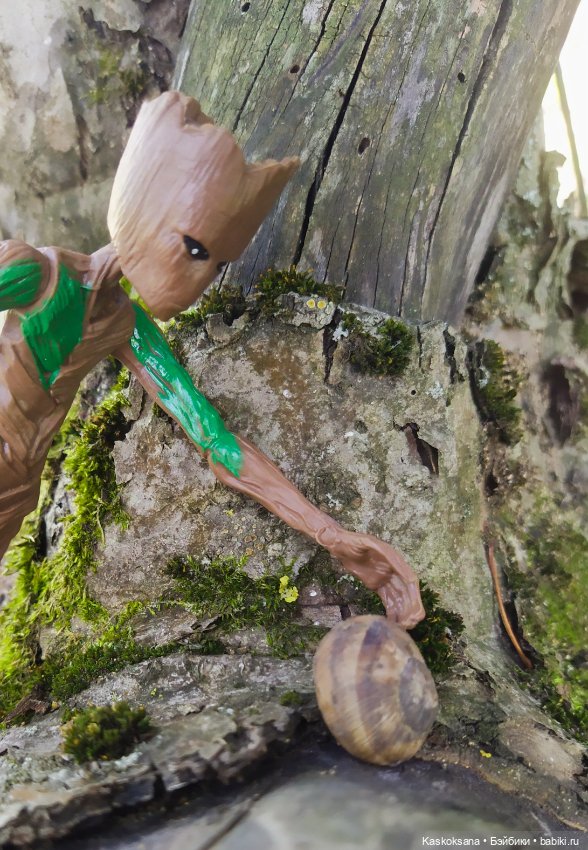 Грут нашего сада — Разные шарнирные куклы (не БЖД): редкие