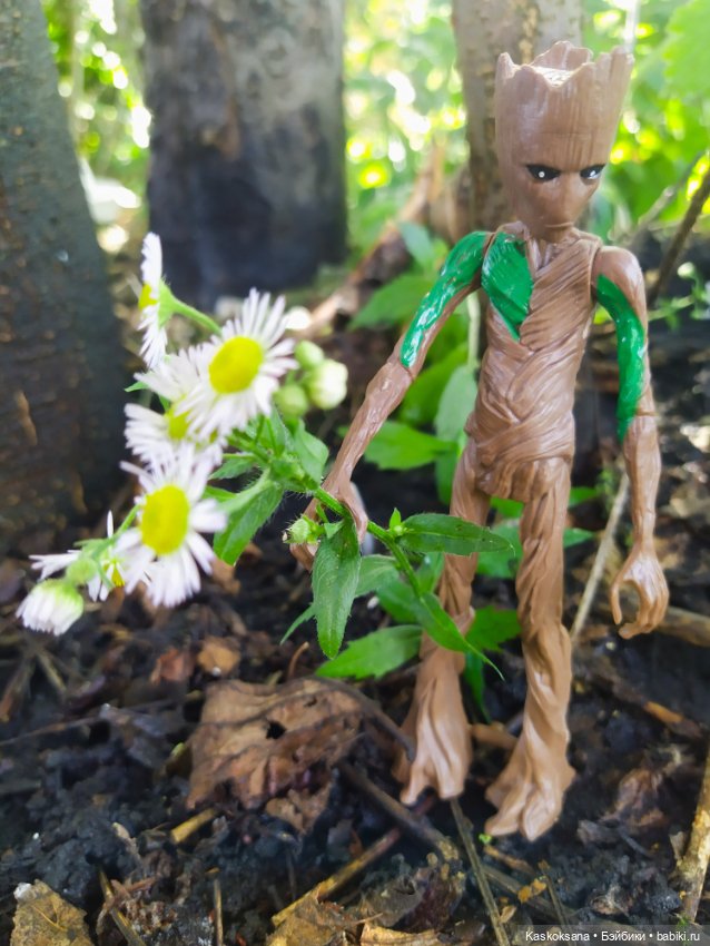 Грут нашего сада — Разные шарнирные куклы (не БЖД): редкие (фото 6)