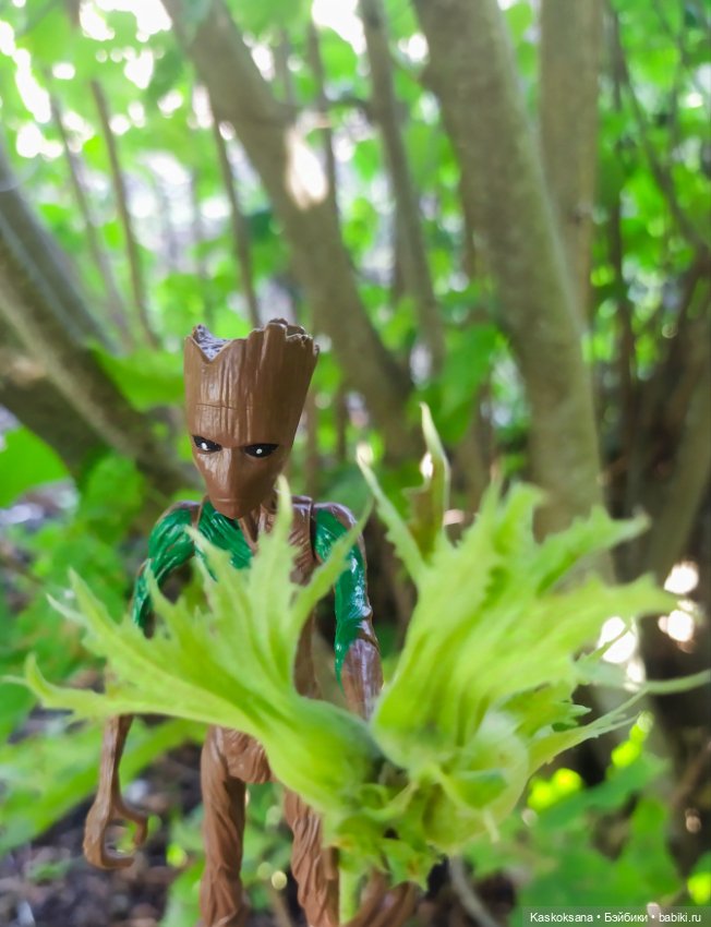 Грут нашего сада — Разные шарнирные куклы (не БЖД): редкие (фото 5)