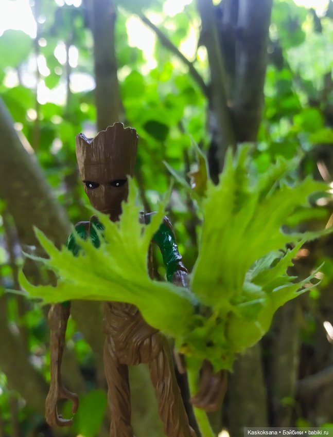 Грут нашего сада — Разные шарнирные куклы (не БЖД): редкие (фото 3)