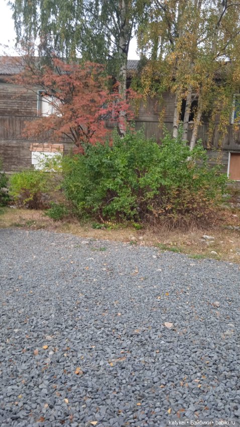 Уроки английского с Гранатом (фото 7)