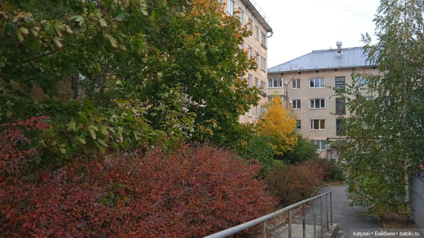 Уроки английского с Гранатом