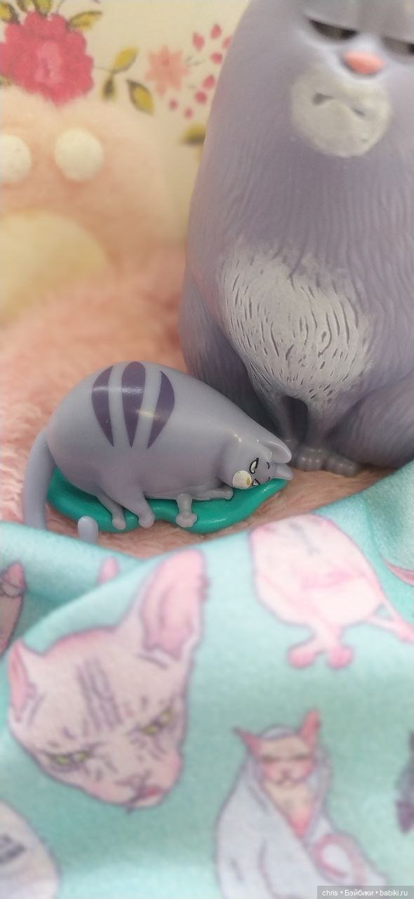 Две грации (Кошечка Хлоя и др. - Тайная жизнь домашних животных) (фото 3)