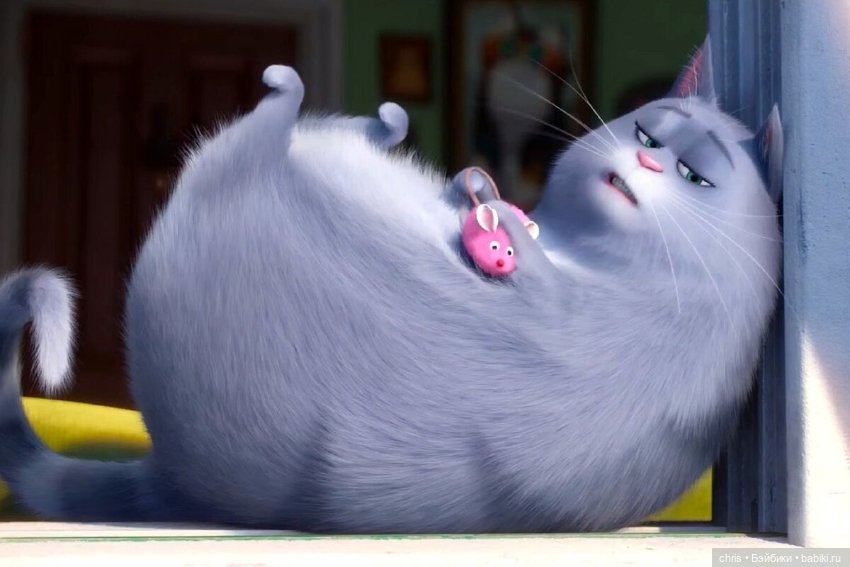 Две грации (Кошечка Хлоя и др. - Тайная жизнь домашних животных)