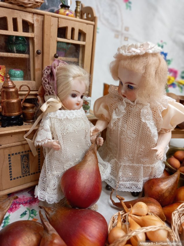 Гюльденштедтия фон Монфилла и луковицы тюльпанов (фото 2)