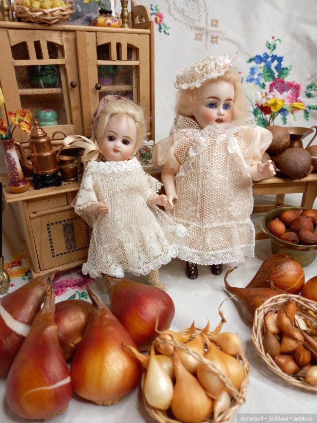 Гюльденштедтия фон Монфилла и луковицы тюльпанов (фото 7)