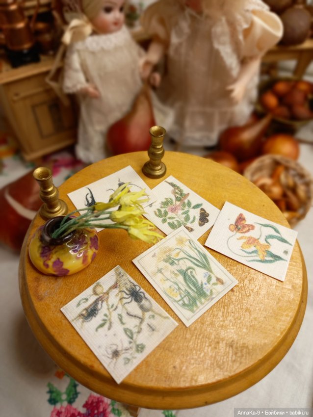 Гюльденштедтия фон Монфилла и луковицы тюльпанов (фото 8)